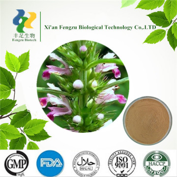 Natural Motherwort extract,motherwort extract powder